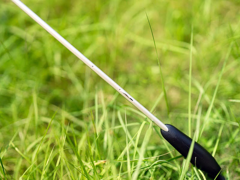 2021 08 24 155423 讓孩子因為想要用『雨傘』而期待下雨的一把傘。Caetla 環保透明傘