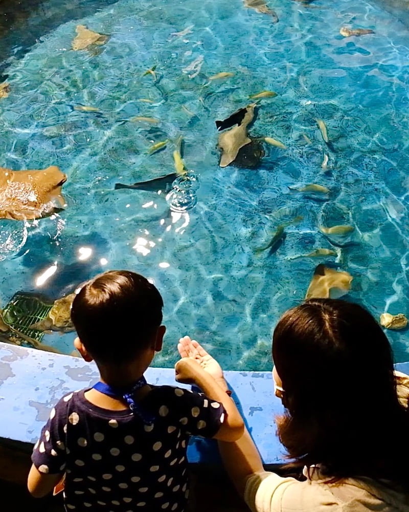 2022 07 20 120539 夜宿屏東海生館。和小白鯨一起睡一晚 feat 迷你解說員-輪輪超喜歡❤️