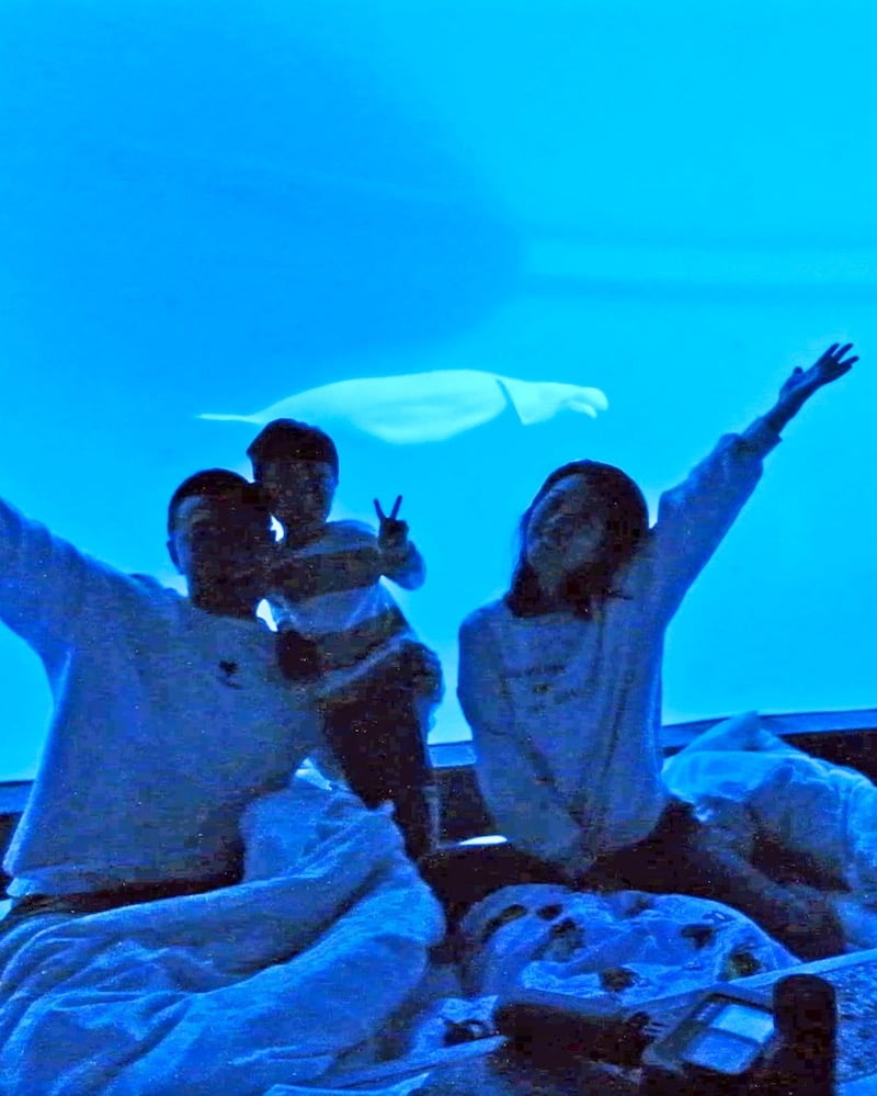 2022 07 20 120551 夜宿屏東海生館。和小白鯨一起睡一晚 feat 迷你解說員-輪輪超喜歡❤️