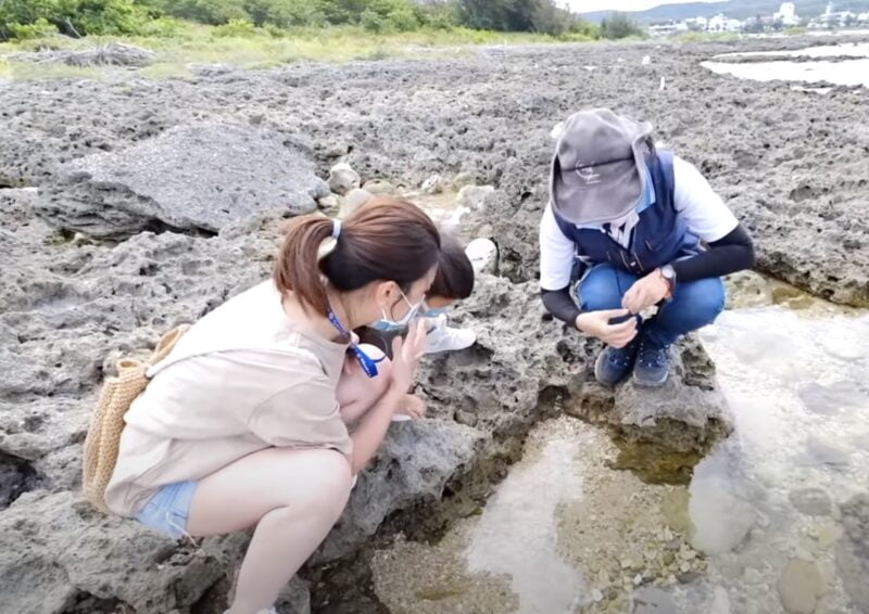 2022 07 20 124959 e1658292607446 夜宿屏東海生館。和小白鯨一起睡一晚 feat 迷你解說員-輪輪超喜歡❤️