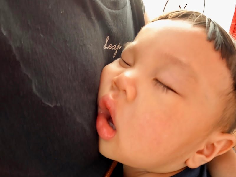 2022 08 03 114557 親子旅遊超適合。麗寶度假村-福容飯店+麗寶遊樂園+摩天輪+OUTLET購物