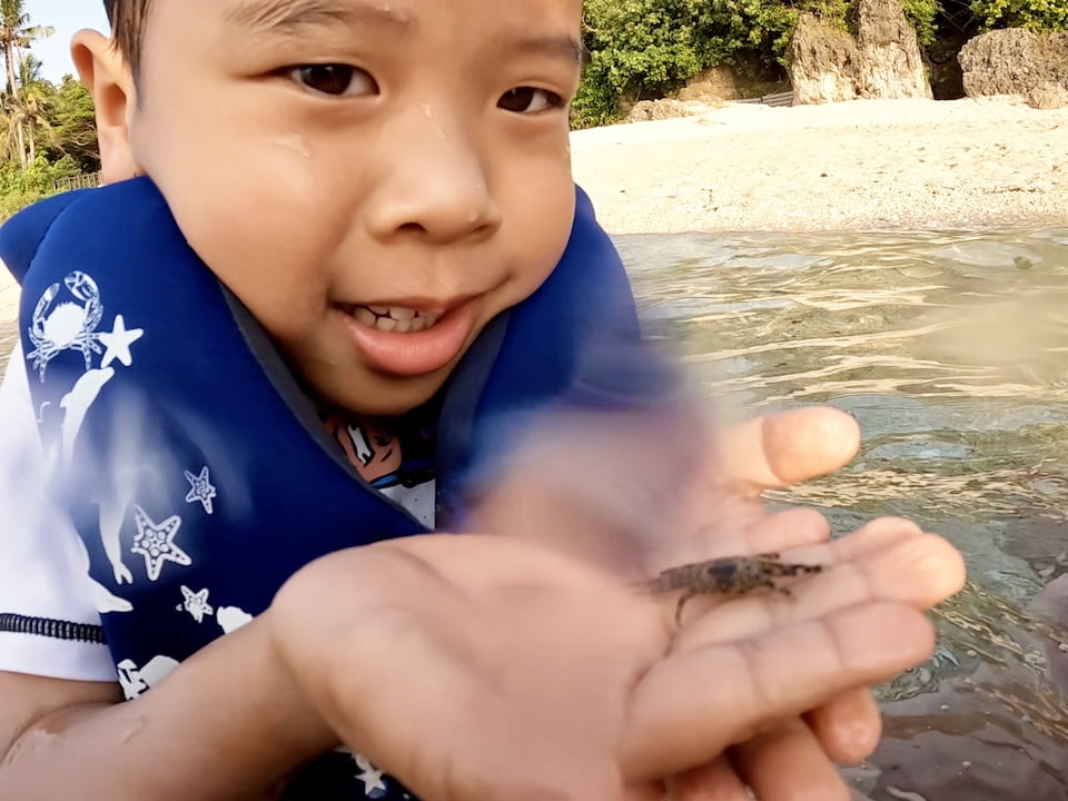 2022 08 10 151133 親子旅行行程。小琉球SUP&浮潛-看海龜之旅(住宿:漁村觀海&杉灣小徑)