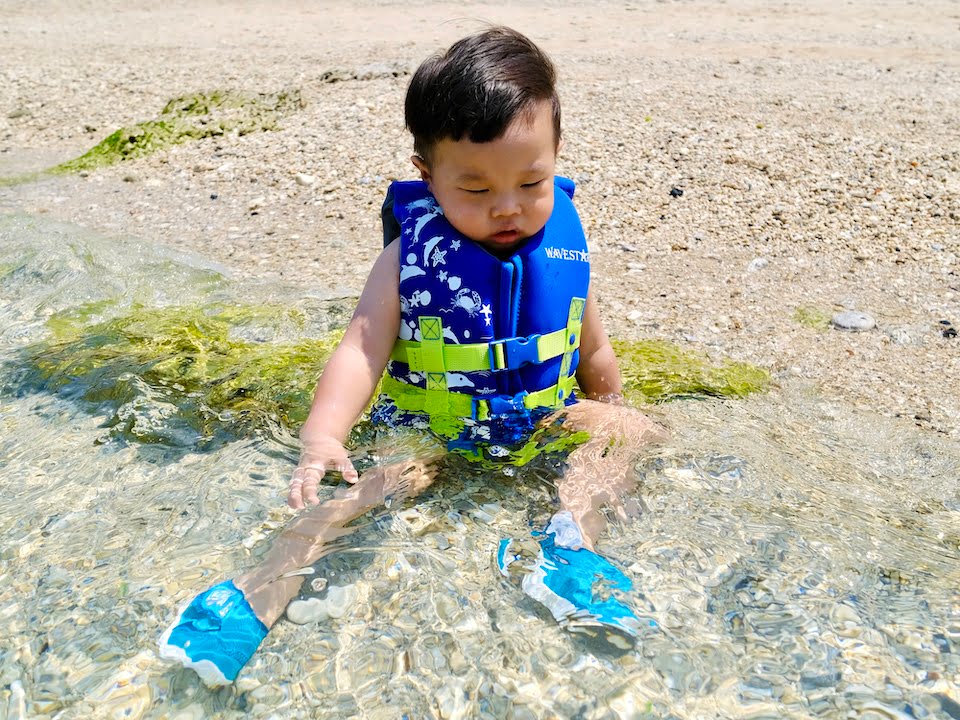 2022 08 10 151155 親子旅行行程。小琉球SUP&浮潛-看海龜之旅(住宿:漁村觀海&杉灣小徑)