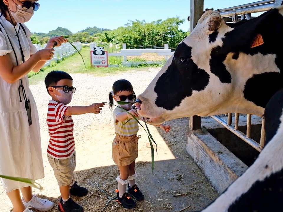 2022 08 10 151442 親子旅行行程。台東鹿野&知本溫泉-熱氣球之旅(住宿:綺麗度假村&知本老爺)