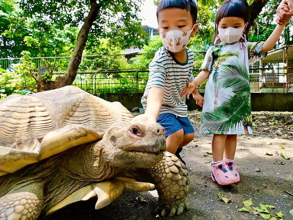 2022 08 10 173756 親子旅行行程。輕航機、看鱷魚、搭帆船、騎馬-不一樣的墾丁上山下海之旅(住宿:嵐翎白砂&海灣森林)