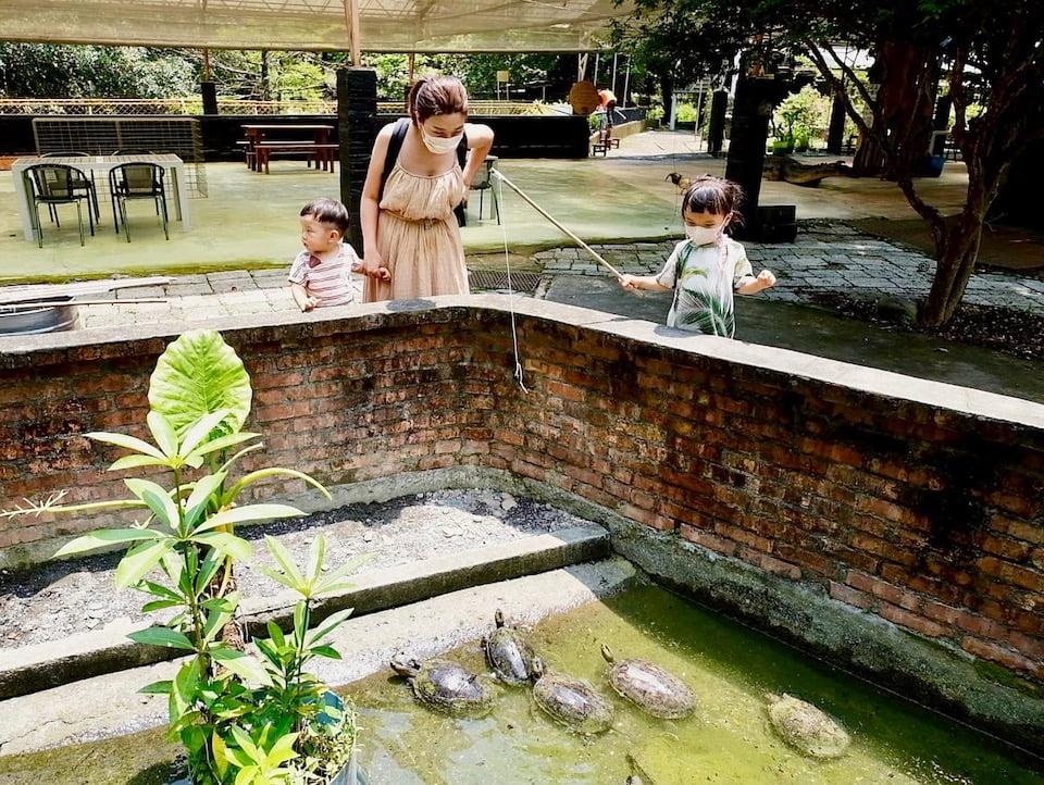 2022 08 10 173858 親子旅行行程。輕航機、看鱷魚、搭帆船、騎馬-不一樣的墾丁上山下海之旅(住宿:嵐翎白砂&海灣森林)