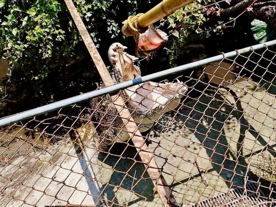 2022 08 10 173905 親子旅行行程。輕航機、看鱷魚、搭帆船、騎馬-不一樣的墾丁上山下海之旅(住宿:嵐翎白砂&海灣森林)