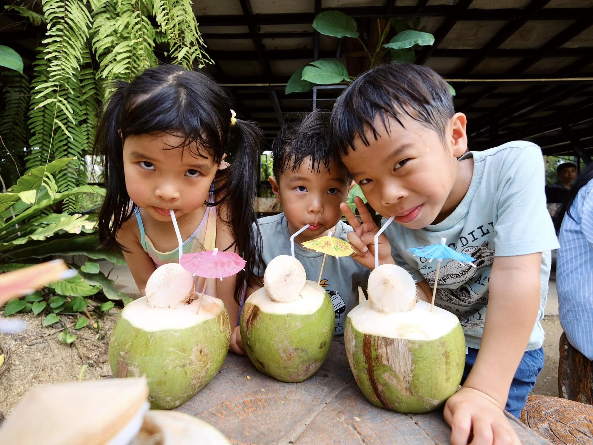 2024 03 13 134512 泰國親子旅遊行程&花費多少。曼谷+Pattaya度假+北碧府動物園 包車好好玩