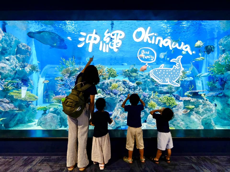 2024 09 04 190601 2024日本沖繩秘境。7天6夜完整行程分享-潮間帶海灘、水族館、釣魚場...超好玩