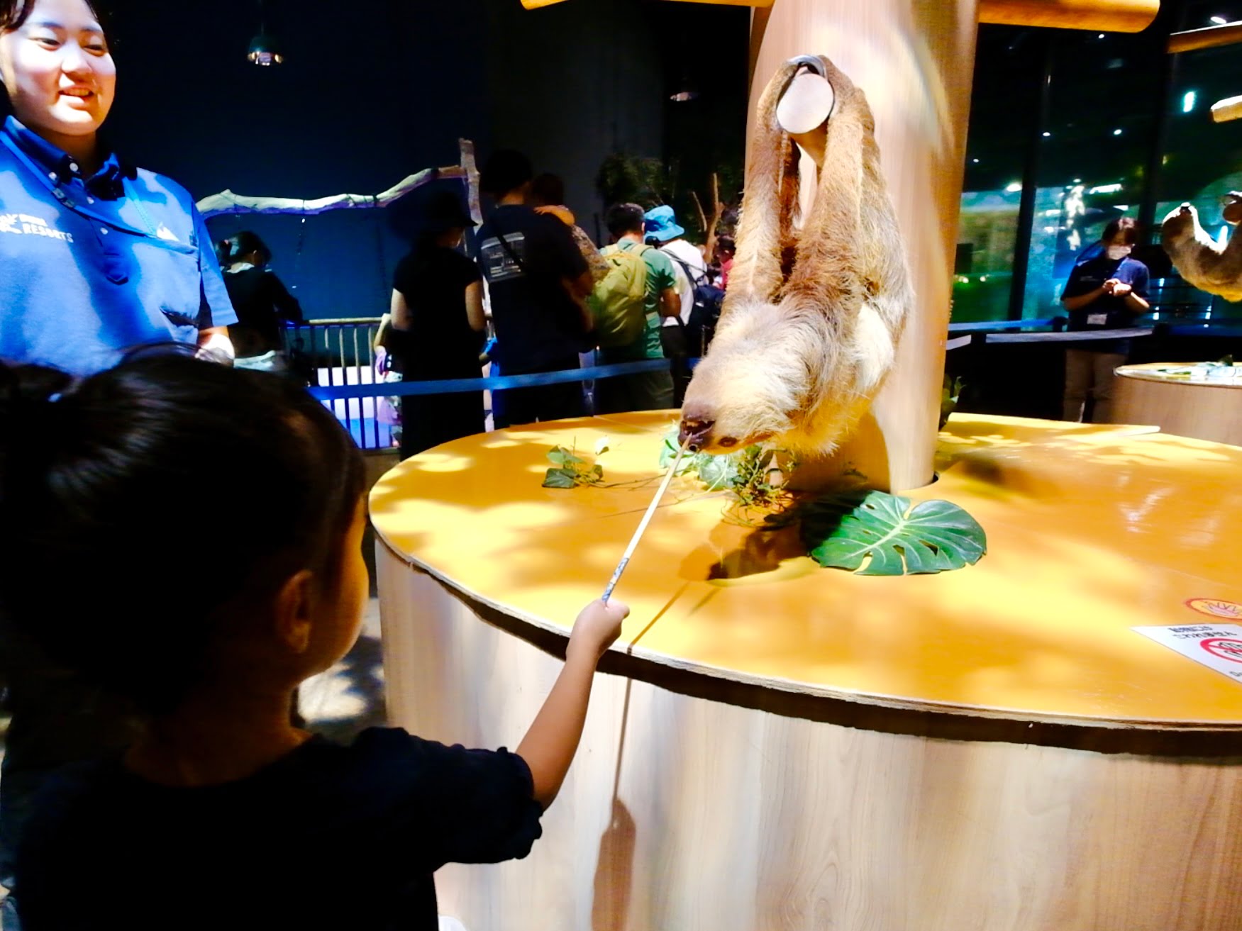 2024 09 04 231645 2024日本沖繩秘境。7天6夜完整行程分享-潮間帶海灘、水族館、釣魚場...超好玩