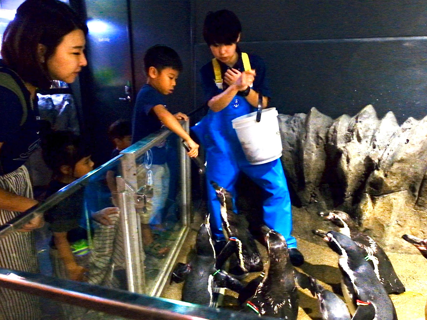 2024 09 04 231646 1 2024日本沖繩秘境。7天6夜完整行程分享-潮間帶海灘、水族館、釣魚場...超好玩