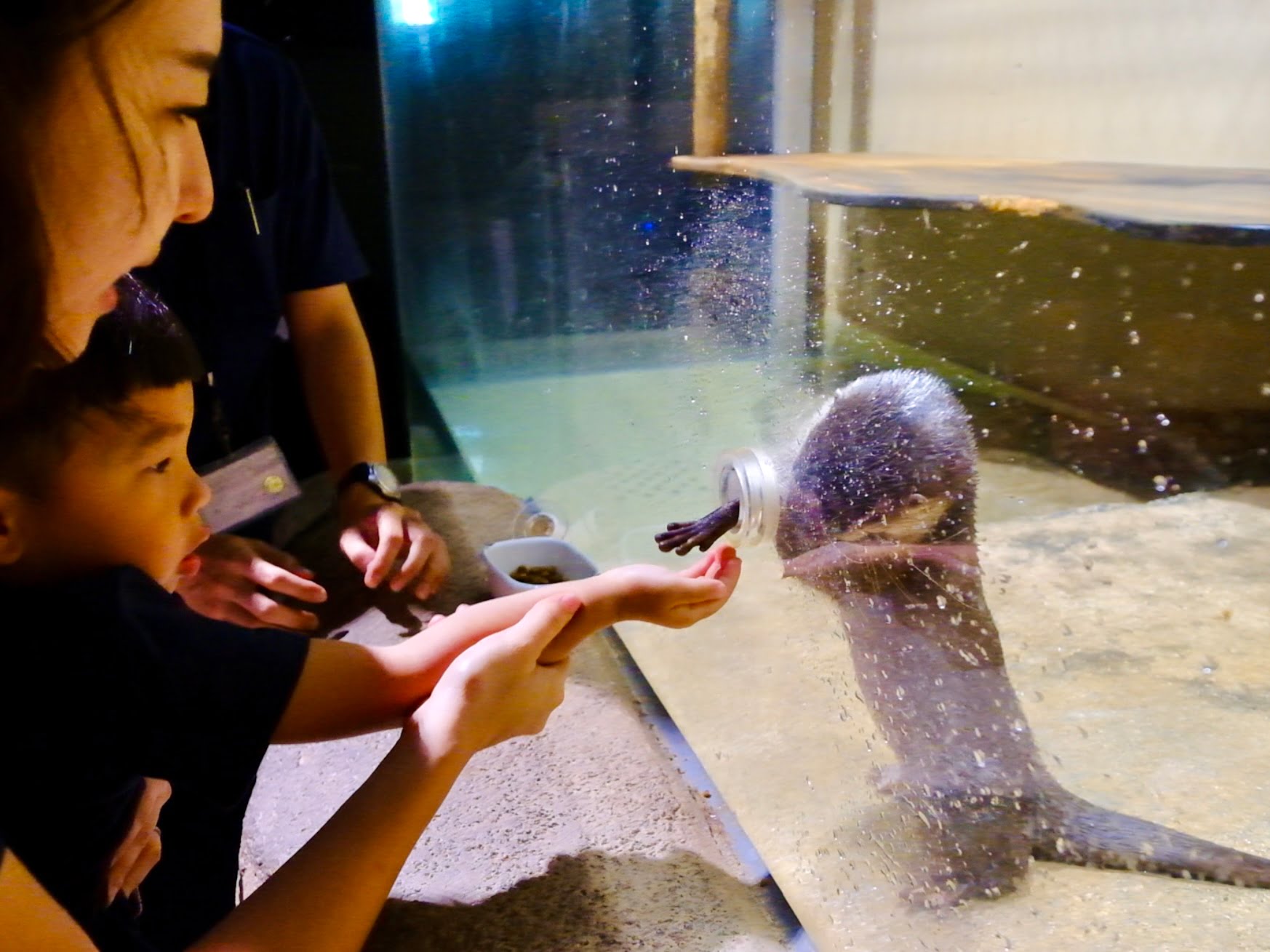2024 09 04 231646 2024日本沖繩秘境。7天6夜完整行程分享-潮間帶海灘、水族館、釣魚場...超好玩