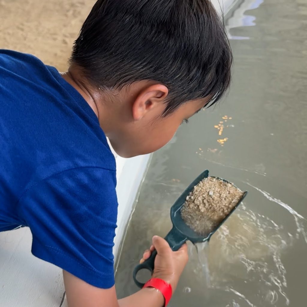 2024 09 05 001508 2024日本沖繩秘境。7天6夜完整行程分享-潮間帶海灘、水族館、釣魚場...超好玩
