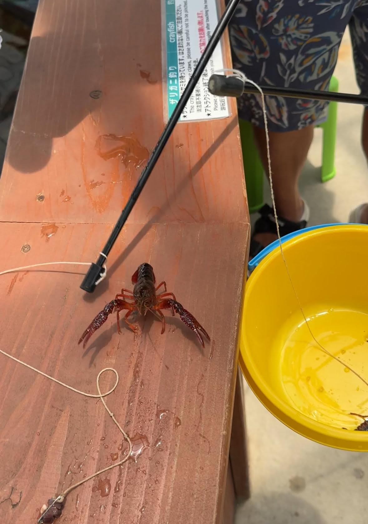 2024 09 05 001511 2024日本沖繩秘境。7天6夜完整行程分享-潮間帶海灘、水族館、釣魚場...超好玩