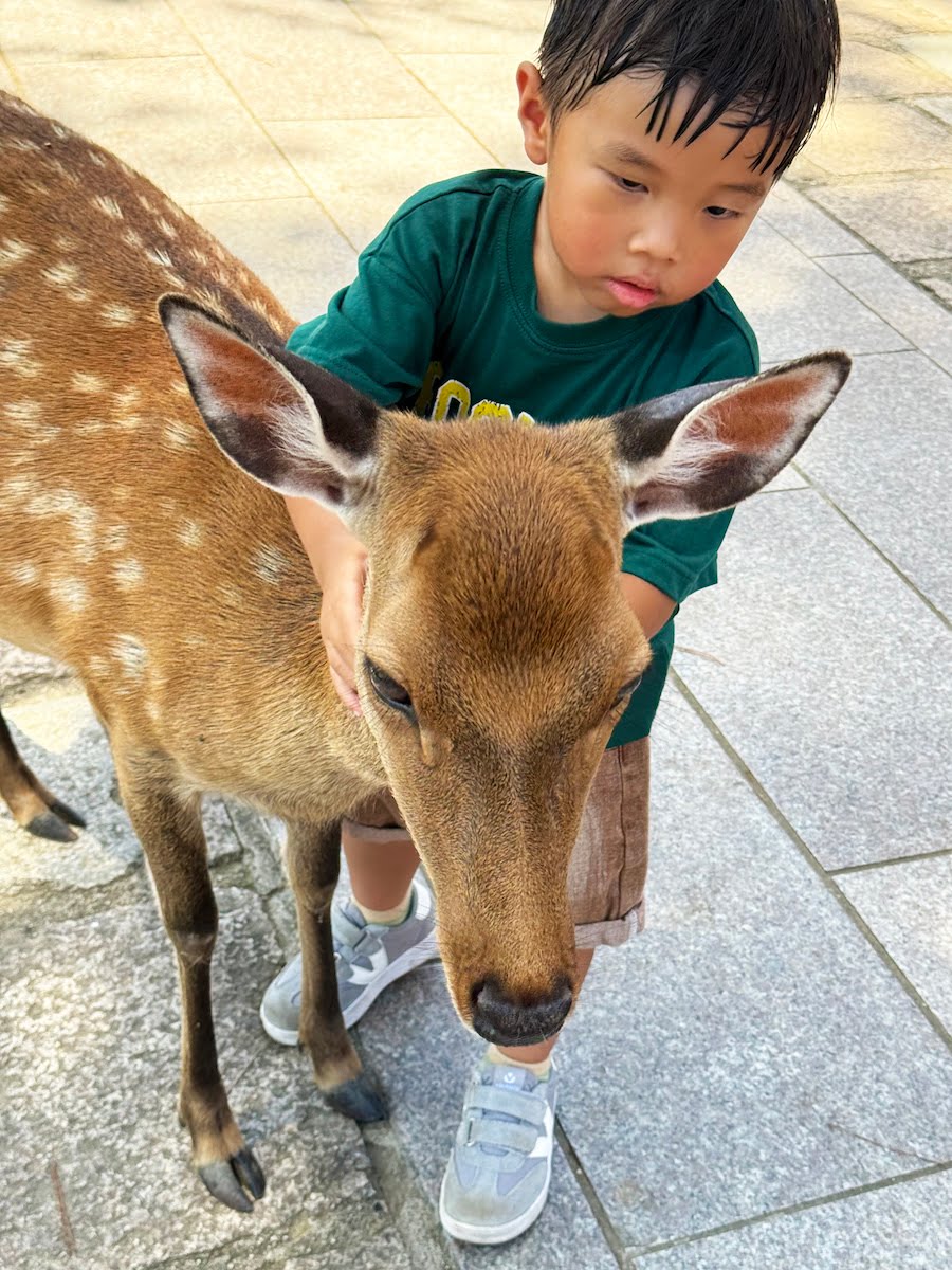 2024 09 05 114757 日本關西親子旅遊。三重 賢島 奈良 超好玩秘境大公開-志摩西班牙村&觀光列車AONIYOSHI &奈良半日遊(下)