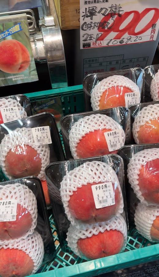 2024 09 05 160253 日本關西親子旅遊。三重 賢島 奈良 超好玩秘境大公開-志摩西班牙村&觀光列車AONIYOSHI &奈良半日遊(下)